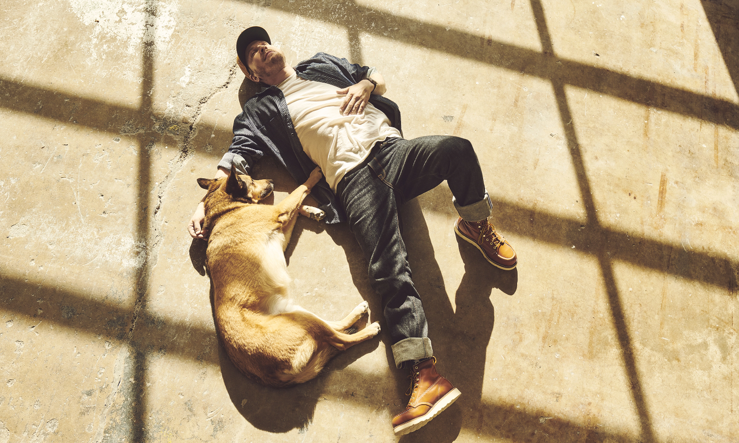 gavin degraw and a dog